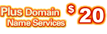 domain name services, domain registration, web site hosting, domain management
